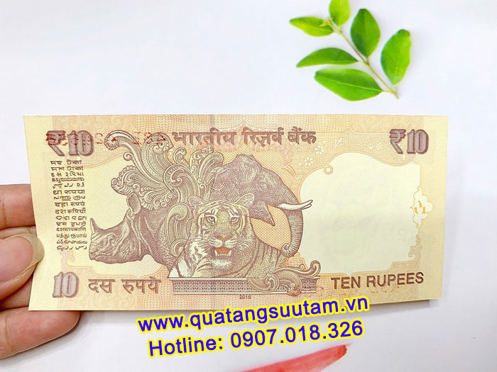 tiền hình con Hổ Ấn Độ giá sỉ cực tốt